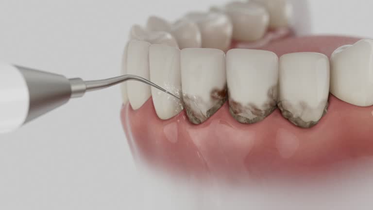 Reliable Dental contractor in Nixa, MO by Dentist Open Now